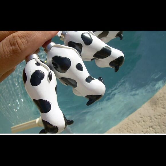 NWT Boston Warehouse Spreaders   - Picture 5 of 5